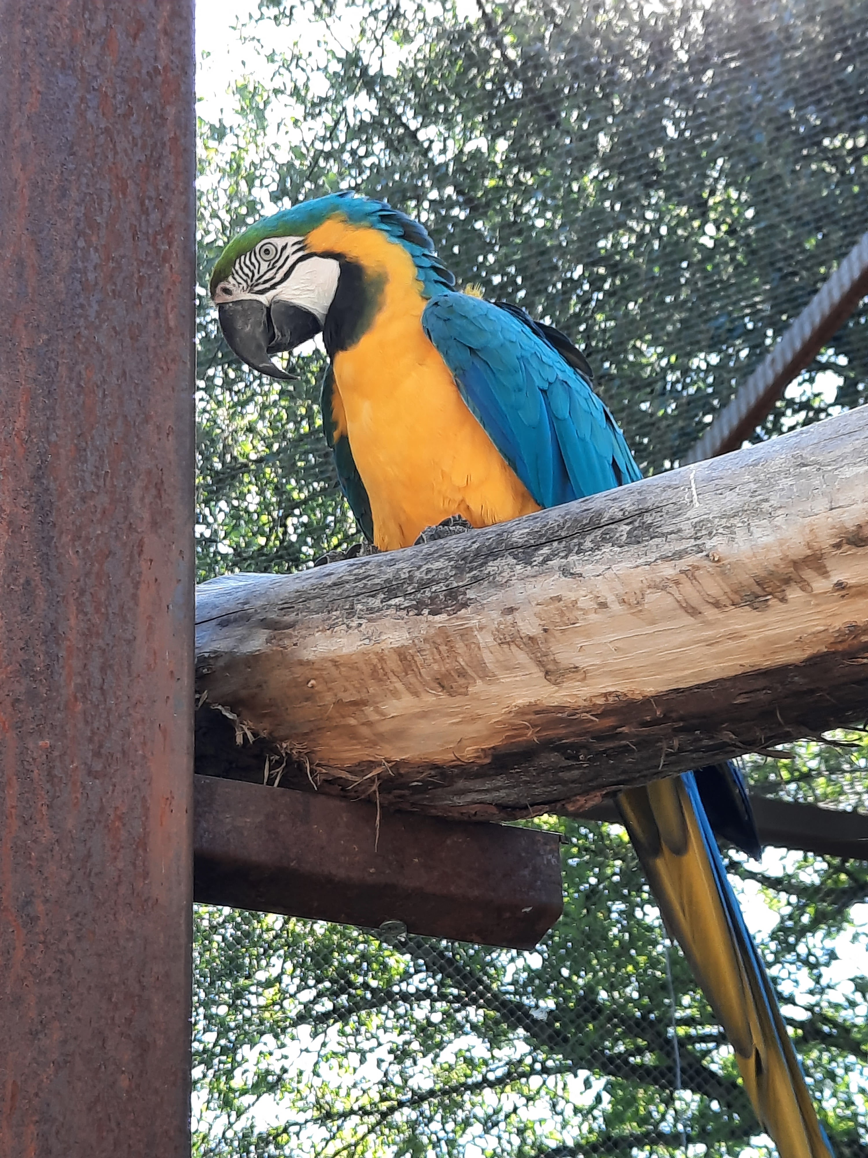 Photo n° 12 de l'avis de Gwen.i fait le 08/08/2023 à 13:19