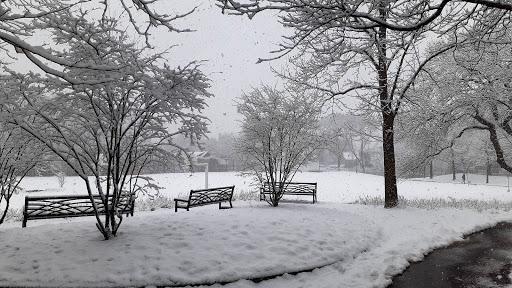 Park «Raymond Park», reviews and photos, Raymond St, Cambridge, MA 02140, USA