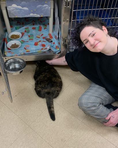 Pet Adoption Service «Humane Society for Greater Nashua», reviews and photos