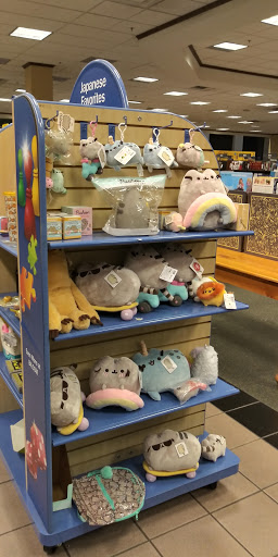 Book Store «Barnes & Noble», reviews and photos, 3400 Forest Dr, Columbia, SC 29204, USA