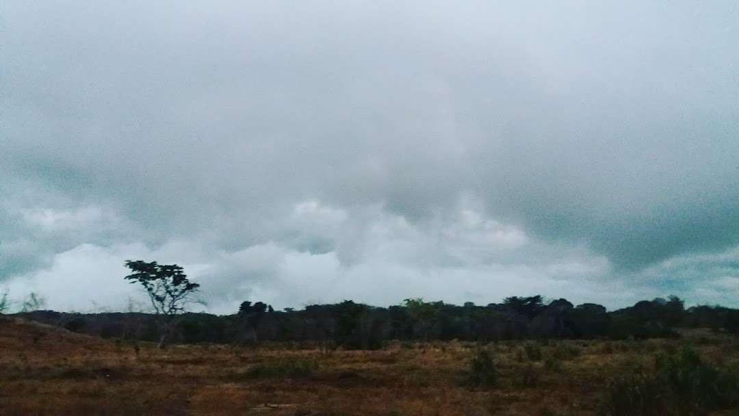 La Granja De Papa Davo