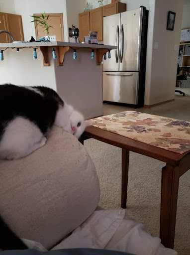 Pet Supply Store «Mud Bay», reviews and photos, 1018 164th St SE, Mill Creek, WA 98012, USA