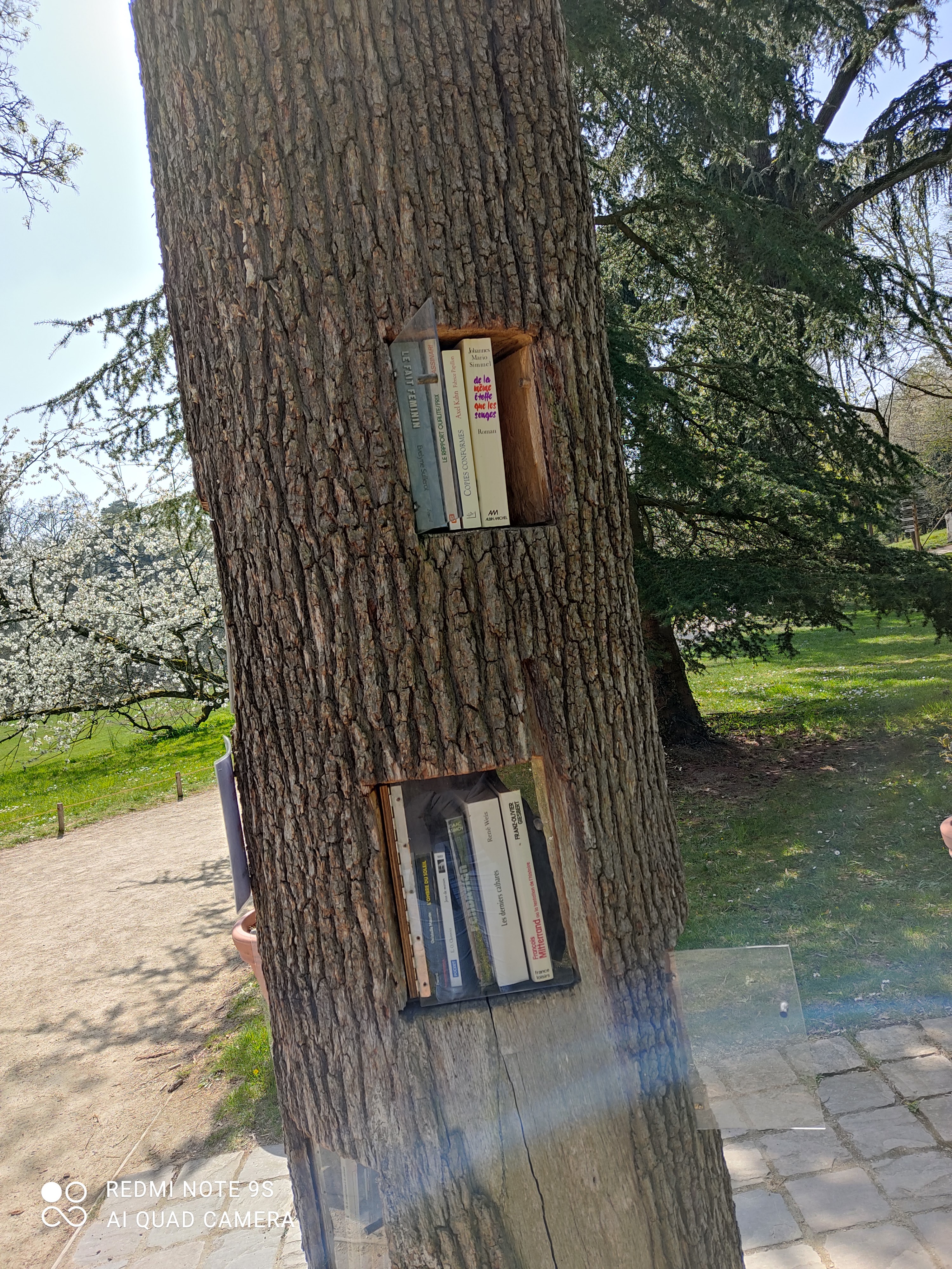 Photo n° 11 de l'avis de Saissi.e fait le 04/04/2021 à 16:29