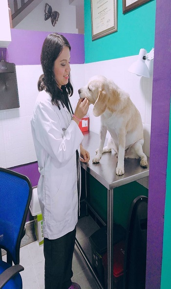 Ohana Pets Consultorio Veterinario