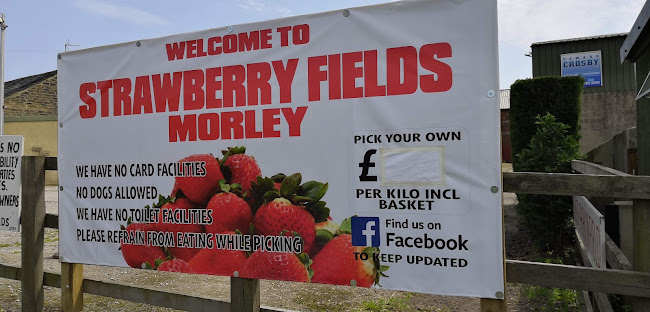Comments and reviews of Strawberry Fields, Morley