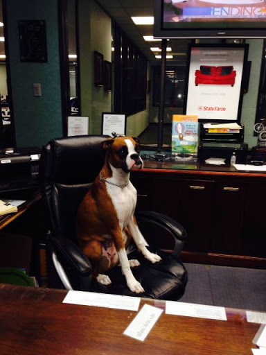 Auto Insurance Agency «State Farm: Ken Phelps», reviews and photos