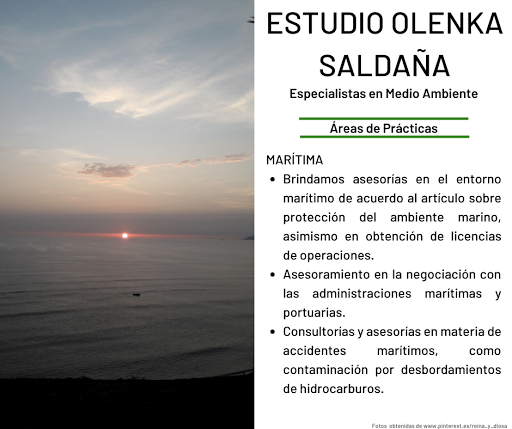 Estudio Olenka Saldaña Especialista en Medio Ambiente y Delitos Ambientales