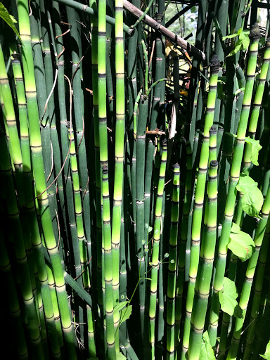 Park «Waterworks Gardens», reviews and photos, Oakesdale Ave SW, Renton, WA 98057, USA