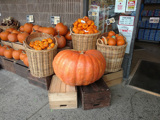 Grocery Store «ShopRite of Newburgh», reviews and photos, 88 N Plank Rd #1, Newburgh, NY 12550, USA
