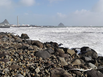 Taranaki Hunting & Fishing New Zealand