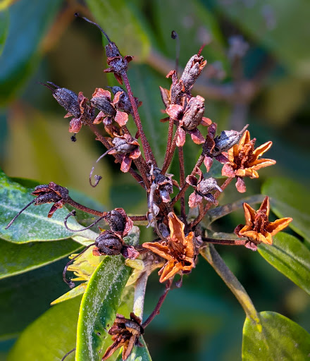 Wedding Venue «Highlands Country Club», reviews and photos, 955 NY-9D, Garrison, NY 10524, USA