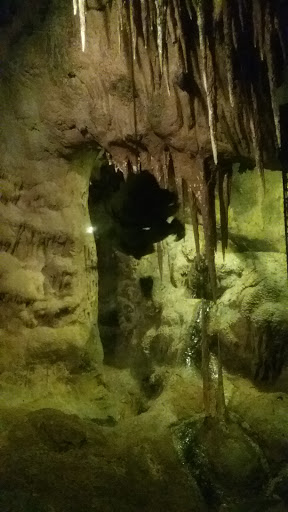 Museum «Tropical Discovery», reviews and photos, 2900 E 23rd Ave, Denver, CO 80205, USA