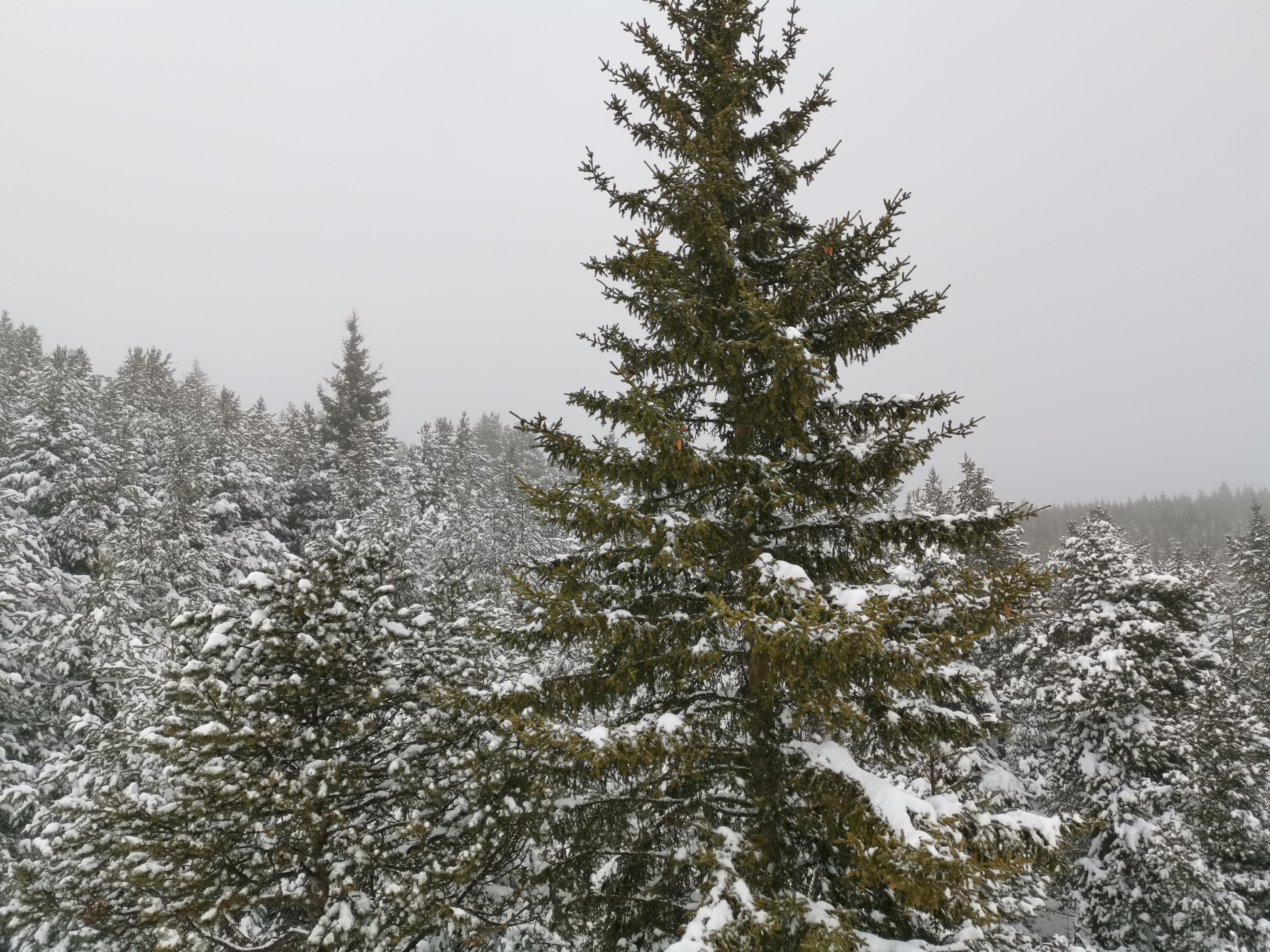 Photo n° 5 de l'avis de Lion.h fait le 13/12/2019 à 15:14