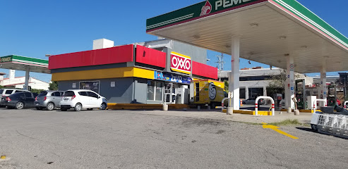 OXXO LERDO