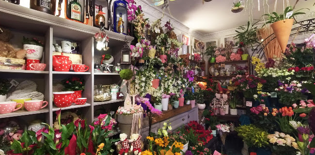 Értékelések erről a helyről: Adrivirág virág és ajándék, Budapest - Virágárus