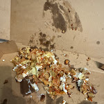 Photo n°1 de l'avis de Olaf.c fait le 04/02/2024 à 17:22 sur le  YamYam Kebap à Offenbach