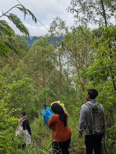 Mendaki di Kabupaten Bangli: Menikmati Keindahan Alam di Area Mendaki