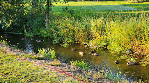 Public Golf Course «BanBury Golf Course Eagle», reviews and photos, 2626 S Marypost Pl, Eagle, ID 83616, USA