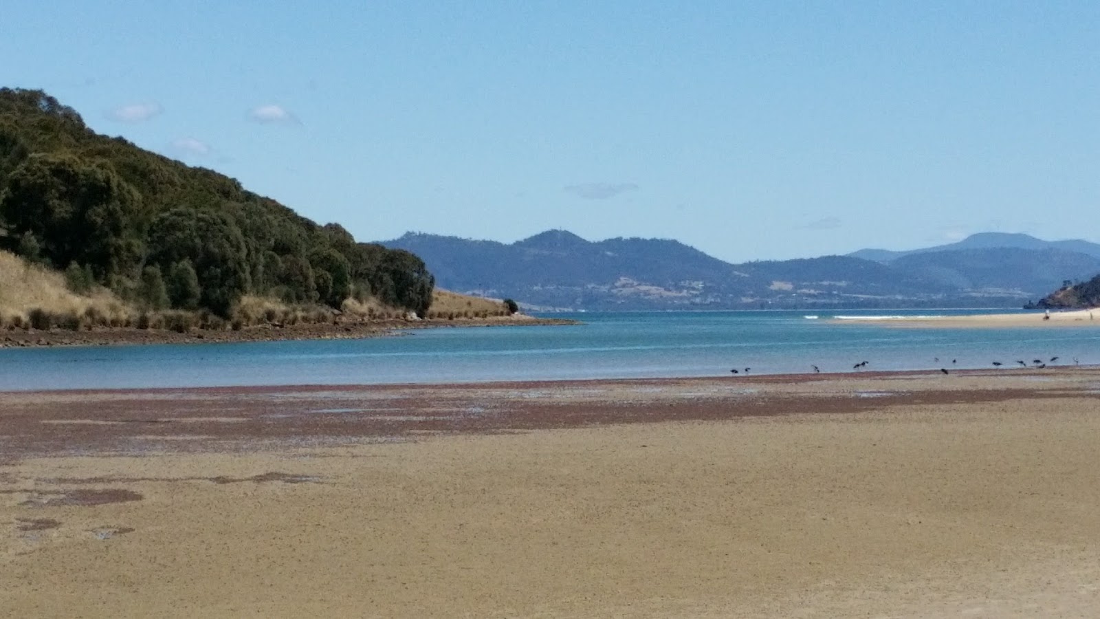Foto van Carlton Beach met turquoise puur water oppervlakte