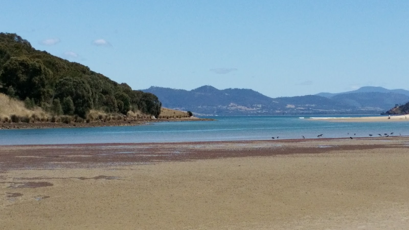 Carlton Beach'in fotoğrafı uzun koy ile birlikte