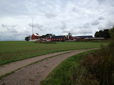 Swedegg Ab