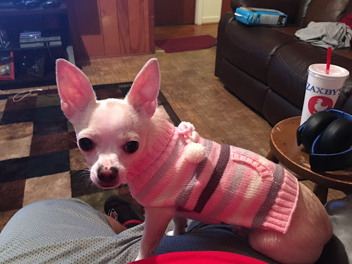 Pet Supply Store «Petco Animal Supplies», reviews and photos, 110 Percival Rd, Columbia, SC 29206, USA