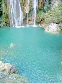 Cascade de Sillans du Restaurant français Hôtel-Restaurant Les Pins à Sillans-la-Cascade - n°3