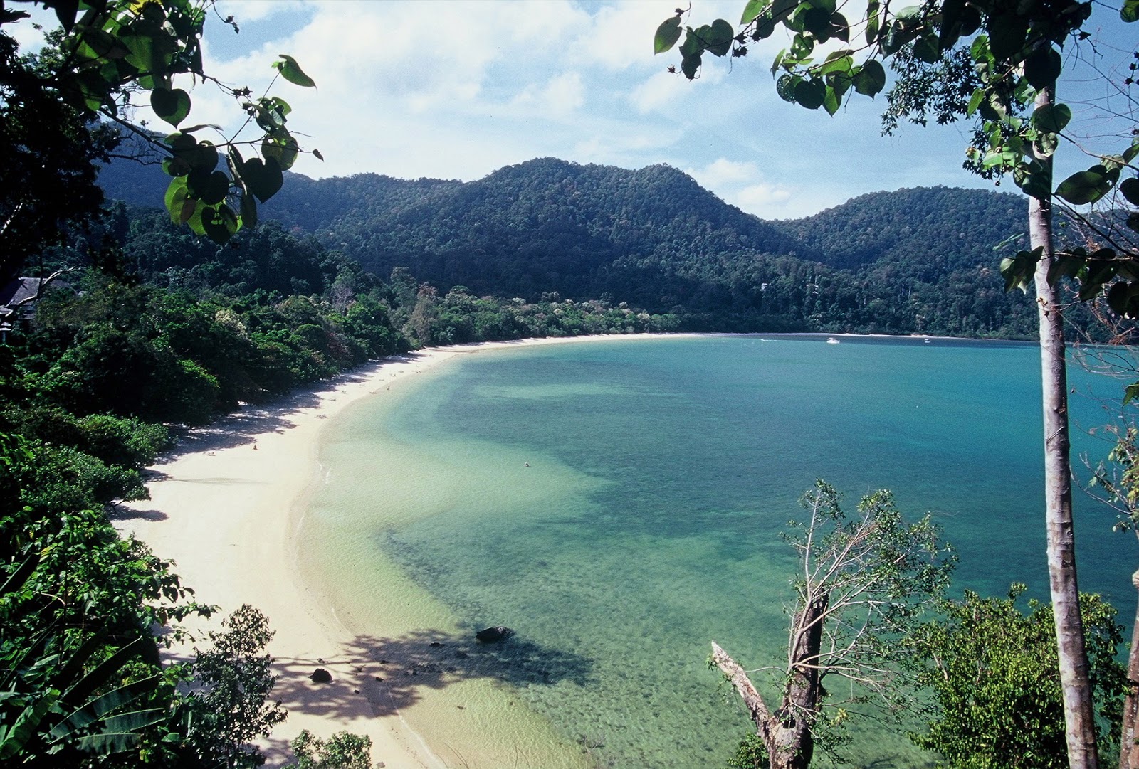 Photo de Datai Bay Beach avec un niveau de propreté de très propre
