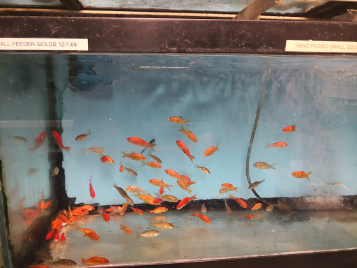 Pet Store «Precious Pets III», reviews and photos, 1091 US-130, Burlington, NJ 08016, USA