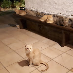 Photo n°21 de l'avis de alessio.p fait le 06/10/2019 à 16:29 sur le  Hotel Turismo Rurale Monti Tundu à localita