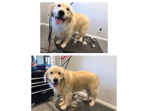 Pet Groomer «Fetching Styles, LLC», reviews and photos, 90 Foothills Pkwy c202, Marble Hill, GA 30148, USA