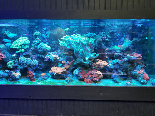Tropical Fish Store «Aquatic Obsessions», reviews and photos, 1150 St George Ave, Avenel, NJ 07001, USA