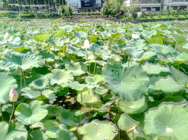 田中九號手作咖啡館