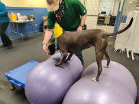 Tails-U-Win - Photo 5 - Car repair in Manchester, CT, Hartford