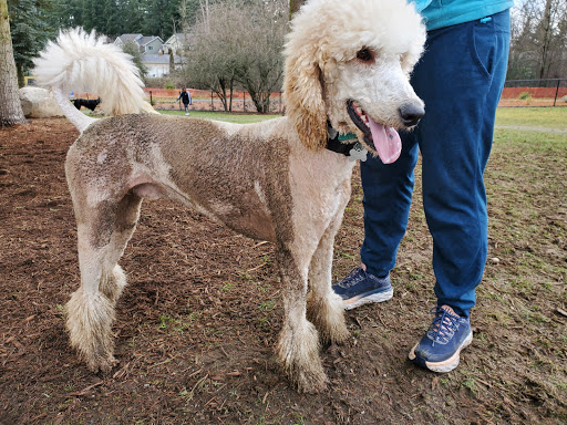 Park «Morrill Meadows Park», reviews and photos, 10600 SE 248th St, Kent, WA 98030, USA