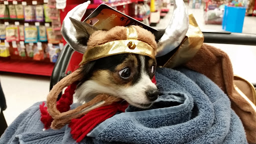 Pet Supply Store «Petco Animal Supplies», reviews and photos, 4915 E 41st St C, Tulsa, OK 74135, USA