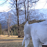 Photo n°8 de l'avis de Matt.a fait le 03/03/2024 à 17:16 sur le  Schloss Elmau à Krün