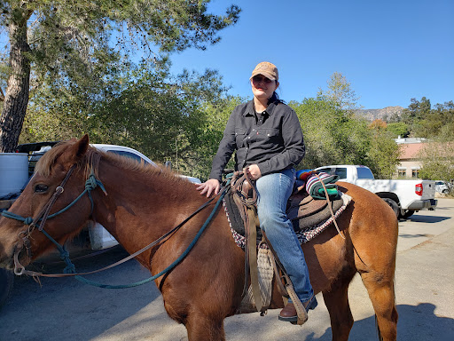 Pony ride service Ventura