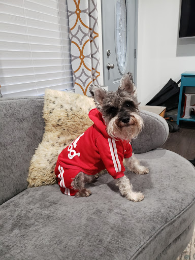 Pet Supply Store «Park Pet Supply Inc», reviews and photos, 479 Flat Shoals Ave SE # A, Atlanta, GA 30316, USA