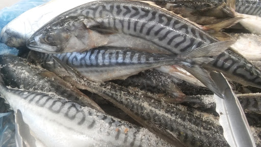 Asian Grocery Store «Thai An Oriental Market», reviews and photos, 2425 S Hillside St # 500, Wichita, KS 67216, USA