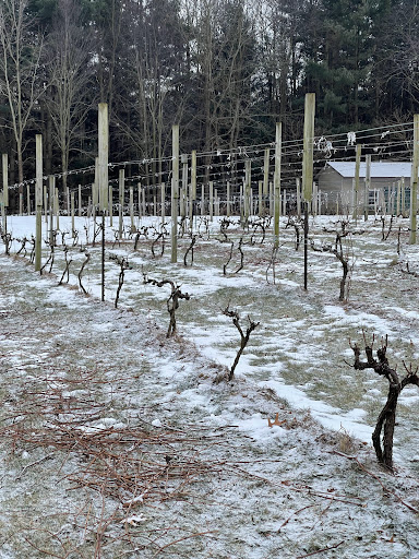 Vineyard «Sandhill Crane Vineyards», reviews and photos, 4724 Walz Rd, Jackson, MI 49201, USA