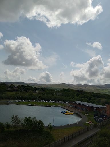CBS Primary School Tralee