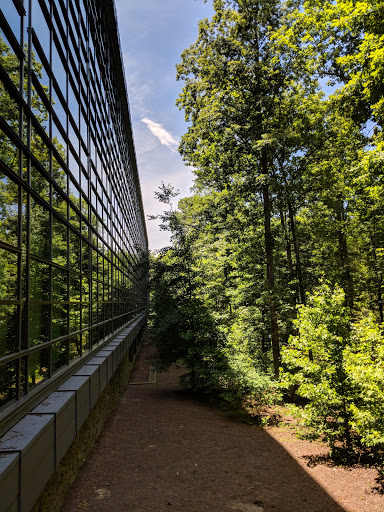 Used Car Dealer «CarMax Home Office», reviews and photos, 12800 Tuckahoe Creek Pkwy, Richmond, VA 23238, USA