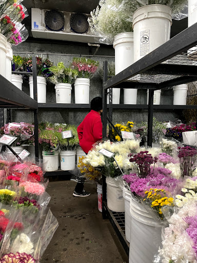 Florist «Wholesale Flowers and Supplies», reviews and photos, 5305 Metro St, San Diego, CA 92110, USA