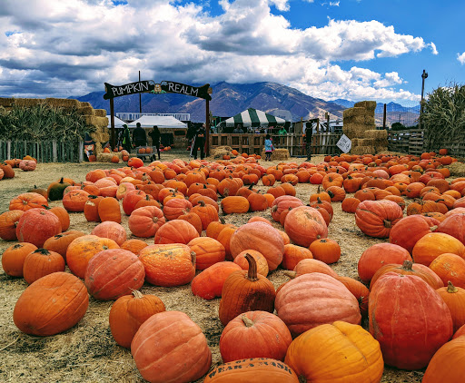 Produce Market «Kuwahara Farms», reviews and photos, 736 12300 S, Draper, UT 84020, USA