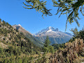 Réserve Naturelle Des Aiguilles Rouge Chamonix-Mont-Blanc