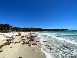 Photo de Meelup Beach zone des équipements