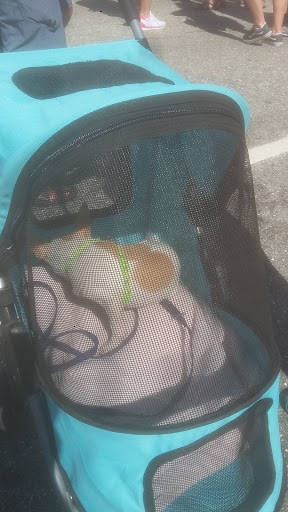 Office Supply Store «Staples», reviews and photos, 2120 SW 32nd Ave, Coral Gables, FL 33145, USA