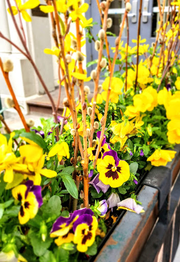 Shopping Mall «Larimer Square», reviews and photos, 1430 Larimer St, Denver, CO 80202, USA