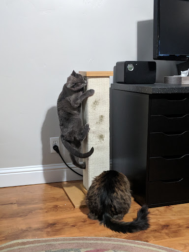 Pet Supply Store «PetSmart», reviews and photos, 3081 S 5600 W, Salt Lake City, UT 84120, USA